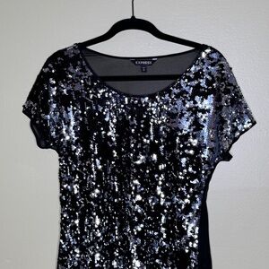 Express Shimmering Black and Silver Sequin Top